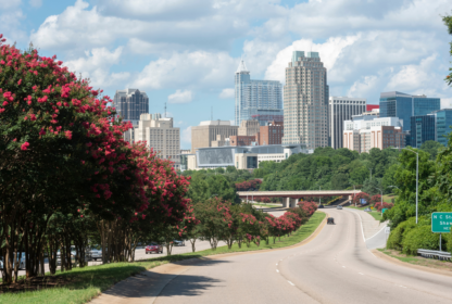 View of a city skyline with tall buildings seen from a roadway lined with pink flowering trees and green foliage under a cloudy sky.