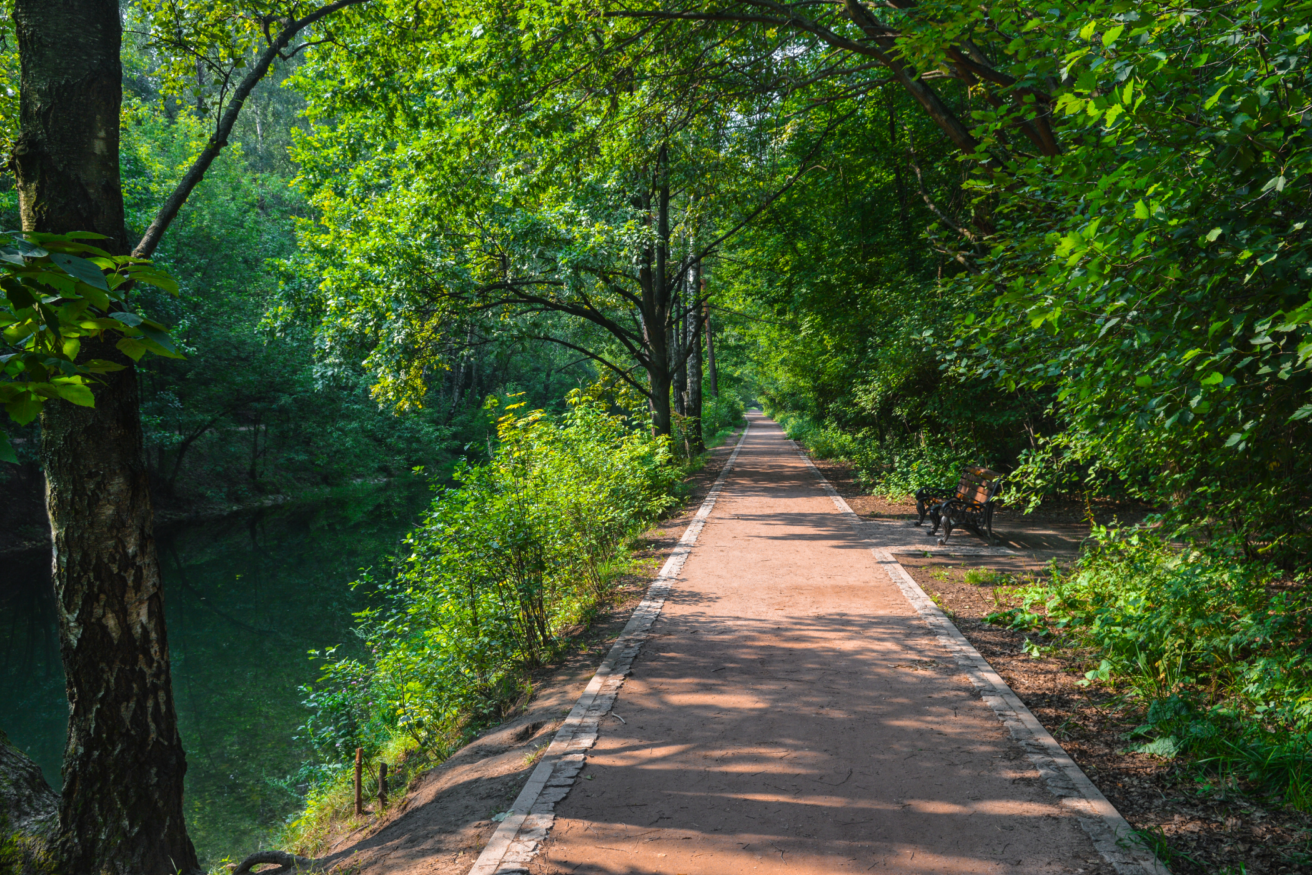 A walkable path in a park.