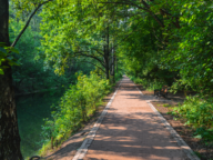 A walkable path in a park.