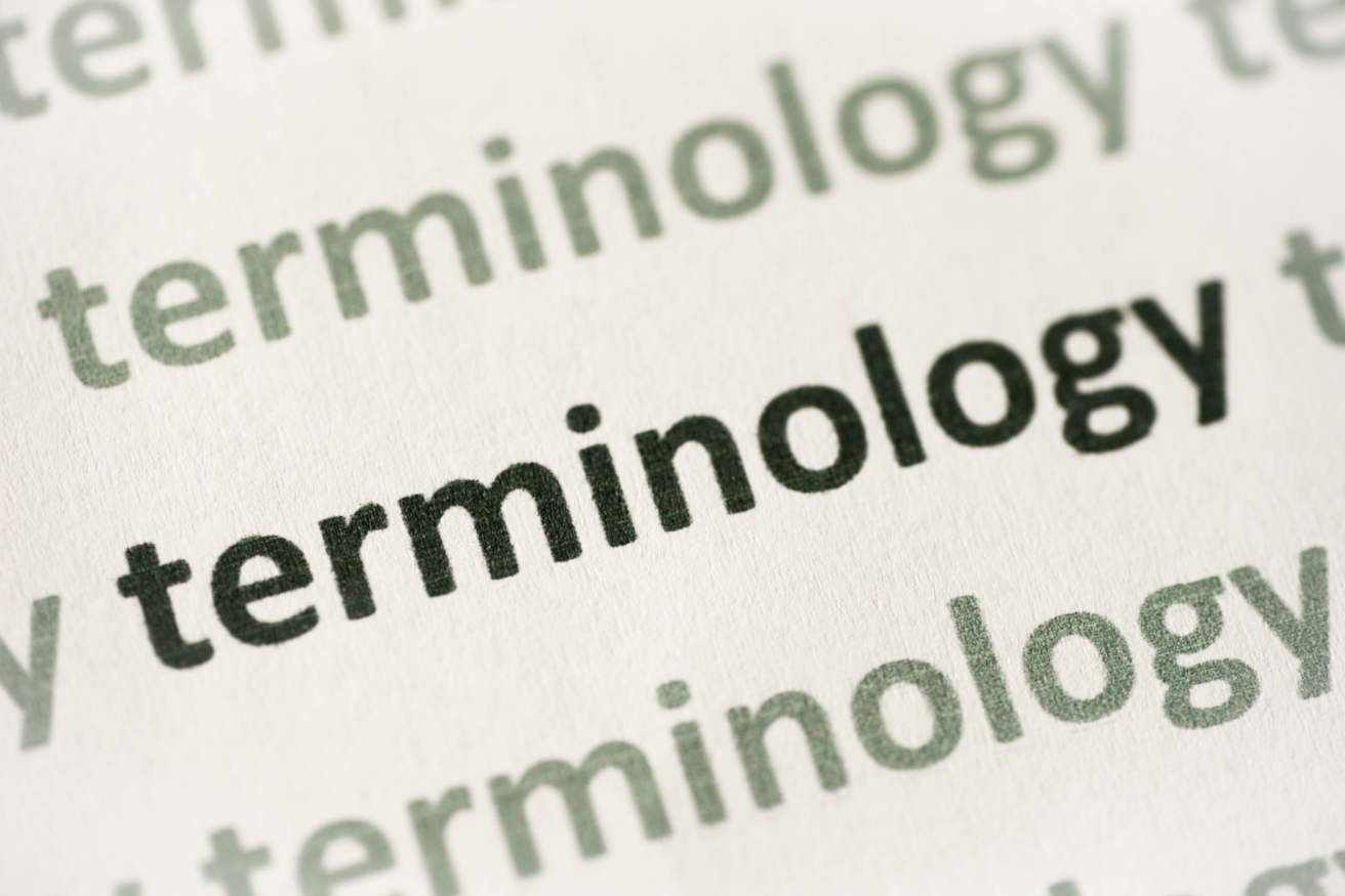 The word "terminology" is printed in bold and regular fonts, repeated several times in a slightly blurred background.