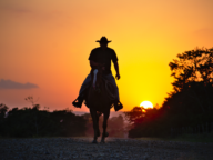 A person on horseback rides along a dirt path at sunset, silhouetted against an orange sky with trees in the background.