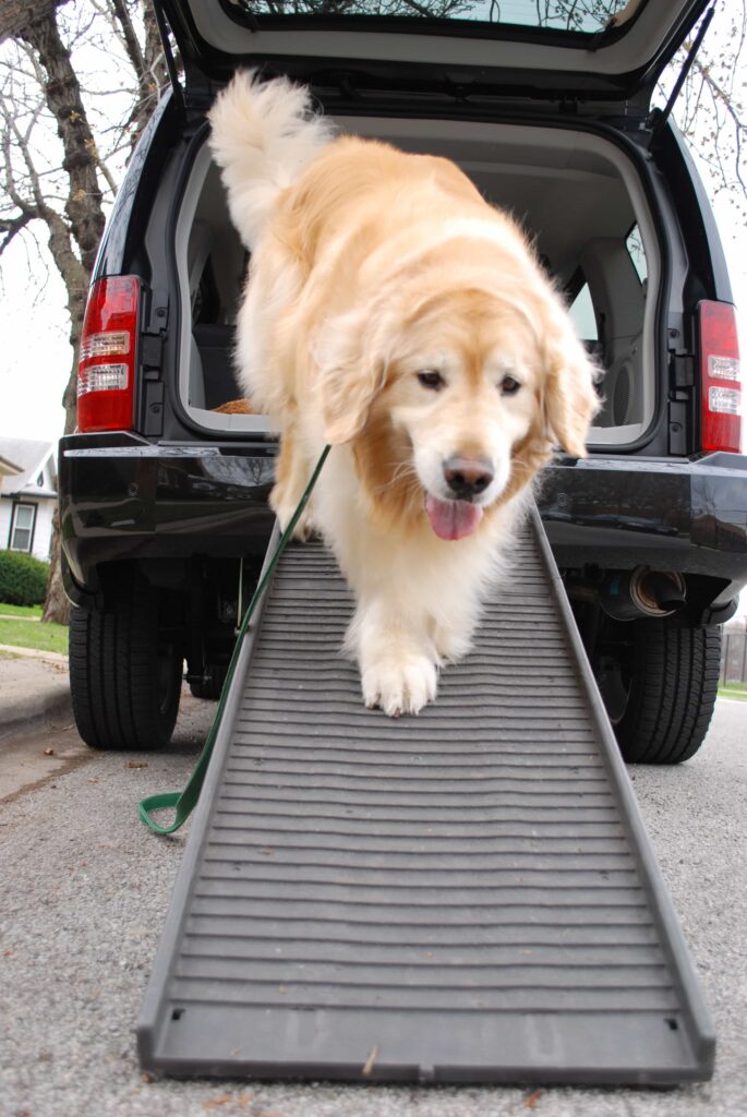 Ramps for Disabled Pets