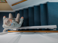 An older individual with gray hair rides a stairlift up a blue-carpeted stairway, viewed from above.